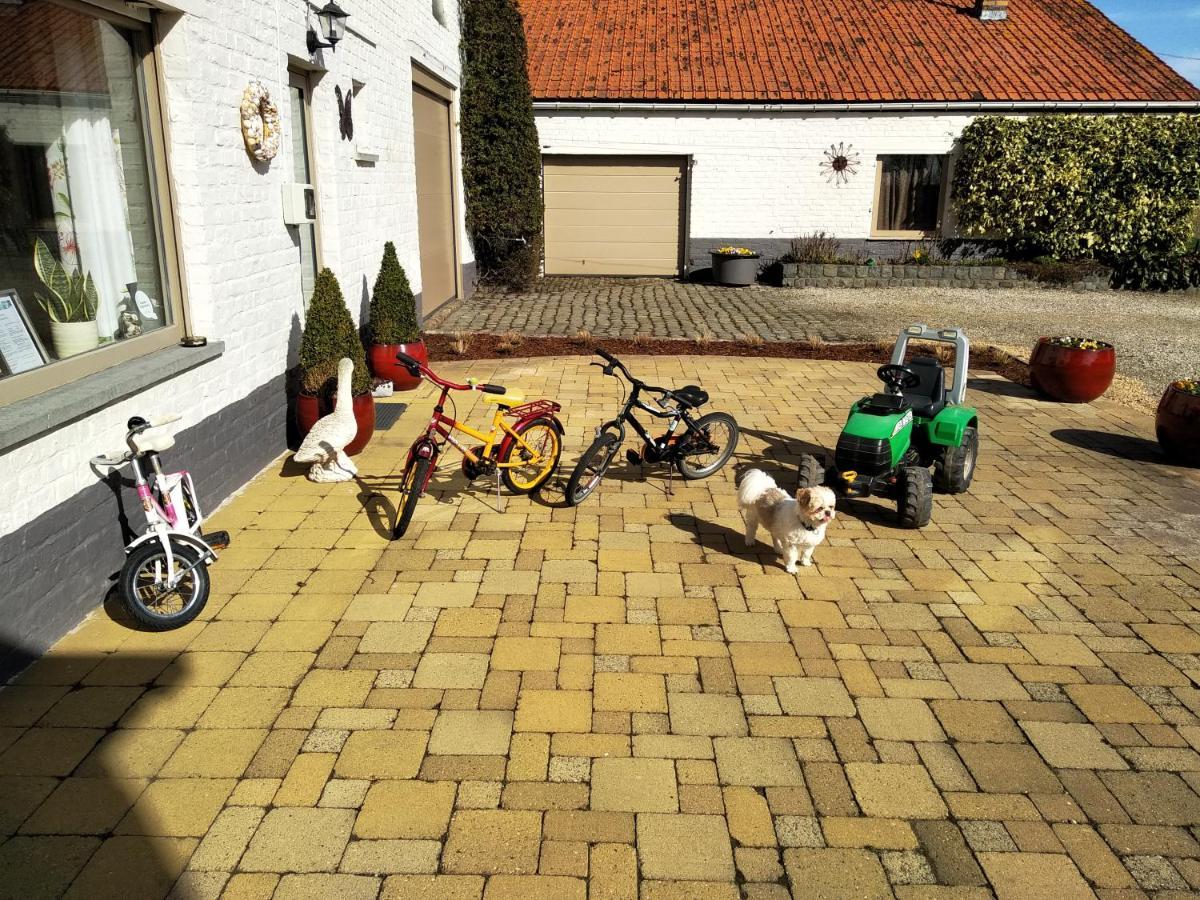 B&B Het Polderhof Jabbeke  Buitenkant foto